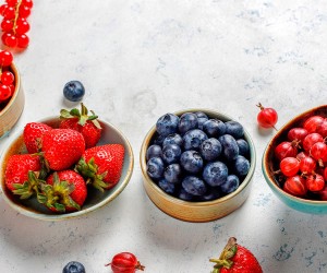 Garden berry palette