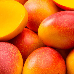 Mango puree type Totapuri
